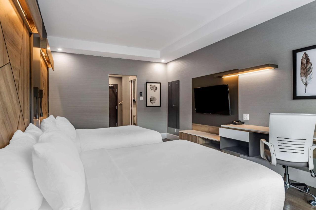 Quality Hotel & Conference Centre Эдмундстон Экстерьер фото